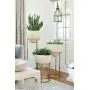 AXILAND Industrial Vintage Style Mini Plug in Pendant Light Metal Bird Cage Edison Hanging Light with Toggle Switch