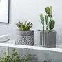 DOMDO Cement Planter Flowerpot - 5.5 Inches Bonsai Containers Unglazed Medium Concrete Planters for Home Indoor Decor with Drain Hole - Gray, Set of 2