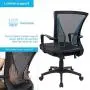 Furmax Office Mid Back Swivel Lumbar Support Desk, Computer Ergonomic Mesh Chair with Armrest (Black)