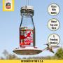 More Birds Jersey Hummingbird Feeder, Glass Milk Bottle, 5 Feeding Ports and 18-Ounce Nectar Capacity