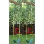 Jungle Gym Kingdom 2 Pack Swings Seats Heavy Duty 66'' Chain Plastic Coated - Playground Swing Set Accessories Replacement Snap Hooks (Green) Jungle Gym Kingdom 2 Pack Swings Seats Heavy Duty 66'' Chain Plastic Coated - Playground Swing Set Accessories Replacement Snap Hooks (Green)