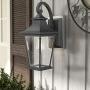 Emliviar Outdoor Wall Lantern, 1-Light Exterior Wall Mount Light with Clear Glass in Black Finish, 18'' Height, 500181