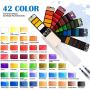 Falling in Art 42 Assorted Watercolor Paint Set, Solid Field Sketch Kit with 2 Brushes