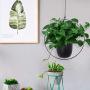 Metal Hanging Planters, Boho Modern Plant Hanger Minimalist Home Decor, Mid Century Flower Pot Plant Holder (Oval-Pack of 1) Metal Hanging Planters, Boho Modern Plant Hanger Minimalist Home Decor, Mid Century Flower Pot Plant Holder (Oval-Pack of 1)
