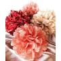 VINANT 20 PCS Rose Gold Party Decorations - Metallic Foil and Tissue Paper Pom Poms - Birthday Party Decoration - Baby Shower - Bridal Shower - Bachelorette - Garden Party - 14'', 10'', 8'', 6''