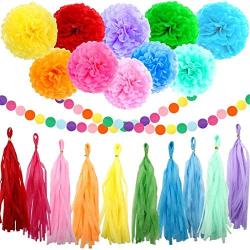 Happy Birthday Decorations, Rainbow Birthday Party Decorations, Birthday Paper Tissue Pom Pom, Tassel Garland