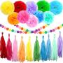Happy Birthday Decorations, Rainbow Birthday Party Decorations, Birthday Paper Tissue Pom Pom, Tassel Garland