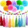 Happy Birthday Decorations, Rainbow Birthday Party Decorations, Birthday Paper Tissue Pom Pom, Tassel Garland