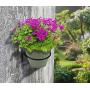 TQVAI 4 inch Flower Pot Holder Ring Wall Mounted 6 Pack Metal Planter Hooks Hangers Wall Bracket, Black