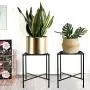 Metal Plant Stand, KABB Iron Art Flower Pot Holder, Modern Metal Display Potted Rack,Rustproof Flower Pot Stand | Decorative Plant Holder for Home, Garden, Patio, Plant Lovers, Housewarming (2 Pack) Metal Plant Stand, KABB Iron Art Flower Pot Holder, Modern Metal Display Potted Rack,Rustproof Flower Pot Stand | Decorative Plant Holder for Home, Garden, Patio, Plant Lovers, Housewarming (2 Pack)