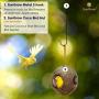 SunGrow S-Shaped Metal Hangers, 12 Inches, Heavy-Grade Stainless Steel, Can Withstand Corrosion, Hook Stake for Bird Feeder, Birdhouse, Outdoor Decor, Air Plant Orbs and More, 2 Pieces