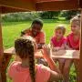 Backyard Discovery Belmont All Cedar Wood Playset Swing Set Backyard Discovery Belmont All Cedar Wood Playset Swing Set