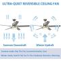 Reversible Ceiling Fan with Light and Remote Control, Stainless Steel, Silver (42in)