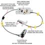 Dasbecan Car Right Side Rear Door Thin Cable Lock Latch & Cable Assembly Compatible With Ford F150 Extended Cab Pickup 2004-2008 Replace# 6L3Z-18264A00-B Dasbecan Car Right Side Rear Door Thin Cable Lock Latch & Cable Assembly Compatible With Ford F150 Extended Cab Pickup 2004-2008 Replace# 6L3Z-18264A00-B