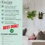 Encore Essentials 3-Pack Macrame Plant Hangers Indoor (37”,43'' & 49”), Ivory Cotton Hanging Planter Basket with Decorative Wood Beads & 2 Hooks-Hanging Flower Pot Holder-Boho Plant Hanger w/Tassel