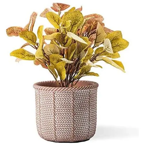 DOMDO Cement Planter Pot - 5.5 Inch Indoor Concrete Planters Bonsai Container with Drainage Hole for Home Decor, Iron-Imitation Patterned, Terracotta DOMDO Cement Planter Pot - 5.5 Inch Indoor Concrete Planters Bonsai Container with Drainage Hole for Home Decor, Iron-Imitation Patterned, Terracotta