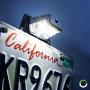 LED License Plate Trailer Light [Bracket Mount] [DOT FMVSS 108] [SAE L] [Gray-Finish] [Waterproof] [12V DC] License Tag Lights for UTV ATV Trailer Truck RV Boat