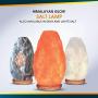 Himalayan Glow Natural Pink Salt Lamp, Crystal Salt Lamp Night Light with (ETL Certified) Brightness Control Dimmer Switch, Wooden Base & Salt Lamps Bulb | 6-8 LBS
