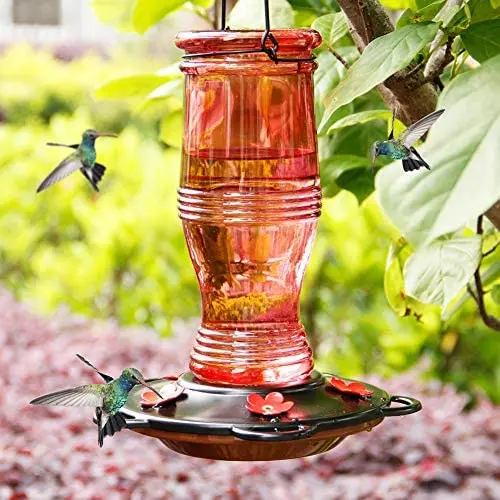 Juegoal Glass Hummingbird Feeders for Outdoors, 26 oz Wild Bird Feeder with 5 Feeding Ports, Metal Handle Hanging for Garden Tree Yard Outside Decoration, Red Juegoal Glass Hummingbird Feeders for Outdoors, 26 oz Wild Bird Feeder with 5 Feeding Ports, Metal Handle Hanging for Garden Tree Yard Outside Decoration, Red