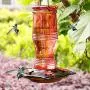 Juegoal Glass Hummingbird Feeders for Outdoors, 26 oz Wild Bird Feeder with 5 Feeding Ports, Metal Handle Hanging for Garden Tree Yard Outside Decoration, Red Juegoal Glass Hummingbird Feeders for Outdoors, 26 oz Wild Bird Feeder with 5 Feeding Ports, Metal Handle Hanging for Garden Tree Yard Outside Decoration, Red