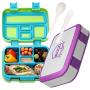 Bizz Bento Box Leakproof Meal Prep Lunchbox (2-Pack) with Reusable Fork-Spoon, Dishwasher Microwave Safe Removable Tray, Lunch Box for Kids and Adults, Portion Control Containers Eat Healthy, BPA Free