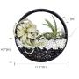 Round Hanging Wall Planters Metal Plant Containers Contemporary Morden Circle Iron Vase for Succulents or Herbs - Perfect Wall Decor for Air Plants Faux Plants Cacti and More, Black (Large)