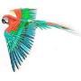 Fascinations ICONX Jubilee Macaw Parrot 3D Metal Model Kit