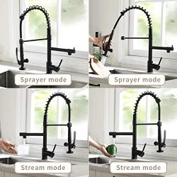 Fapully Black Kitchen Faucet,Commercial Pull Down Kitchen Sink Faucet with Sprayer