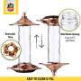 More Birds Glory Hummingbird Feeder, Glass Bottle, 5 Feeding Ports and 14-Ounce Nectar Capacity