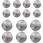 14 Pieces Metal Blazer Button Set - Eagle Badge - for Blazer, Suits, Sport Coat, Uniform, Jacket (Silver) 15mm 20mm