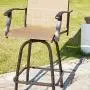 LOKATSE HOME 2 Piece Swivel Bar Stools Outdoor High Patio Chairs Furniture with All Weather Metal Frame
