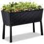 Keter Easy 31.7 Gallon Raised Garden Bed with Self Watering Planter Box and Drainage Plug-Perfect for Growing Fresh Vegetables, Flowers and Herbs, Graphite