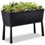 Keter Easy 31.7 Gallon Raised Garden Bed with Self Watering Planter Box and Drainage Plug-Perfect for Growing Fresh Vegetables, Flowers and Herbs, Graphite