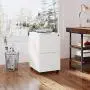 DEVAISE Vertical File Cabinet with Lock, Mobile Filing Cabinet for Legal/Letter/A4 Files, Fully Assembled Except Wheels, White DEVAISE Vertical File Cabinet with Lock, Mobile Filing Cabinet for Legal/Letter/A4 Files, Fully Assembled Except Wheels, White