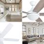 Prominence Home 80094-01 Ashby Ceiling Fan with Remote Control and Dimmable Integrated LED Light Frosted Fixture, 52'' Contemporary Indoor, 5 Blades White/Grey Oak, Farmhouse White Prominence Home 80094-01 Ashby Ceiling Fan with Remote Control and Dimmable Integrated LED Light Frosted Fixture, 52'' Contemporary Indoor, 5 Blades White/Grey Oak, Farmhouse White