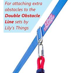 Lilys Things Metal Buckles (8 Pack) for use with The Double Obstacle Line