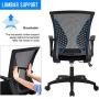 Office Chair Ergonomic Desk Chair Mesh Computer Chair with Lumbar Support Armrest Mid Back Rolling Swivel Adjustable Task Chair for Women Adults, Black