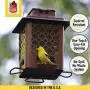 More Birds 105IN, 3.6 lb Seed Capacity, Copper Finish Stokes Select, Metal Hopper Feeder, 4 Feeding Ports