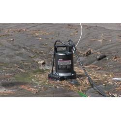 Wayne 57729-WYNP WAPC250 Pool Cover Pump