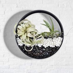 Round Hanging Wall Planters Metal Plant Containers Contemporary Morden Circle Iron Vase for Succulents or Herbs - Perfect Wall Decor for Air Plants Faux Plants Cacti and More, Black (Large)