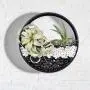 Round Hanging Wall Planters Metal Plant Containers Contemporary Morden Circle Iron Vase for Succulents or Herbs - Perfect Wall Decor for Air Plants Faux Plants Cacti and More, Black (Large) Round Hanging Wall Planters Metal Plant Containers Contemporary Morden Circle Iron Vase for Succulents or Herbs - Perfect Wall Decor for Air Plants Faux Plants Cacti and More, Black (Large)