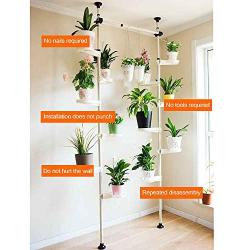 Indoor Plant Storage, FOME Metal Spring Double Pole Stand Corner Flower Display Rack Plant Storage Shelf Hanging Plant Stand Planter Rack Indoor with 12 Trays 2 Hooks 1 Telescopic Rod