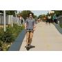 Glion Dolly Foldable Lightweight Adult Electric Scooter UL Certified