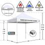 Eurmax 10x10 Ez Pop Up Canopy Tent Commercial Instant Canopies with Heavy Duty Roller Bag,Bonus 4 Sand Weights Bags(Turquoise)