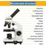 200X-2000X Microscopes for Kids Students Adults, with Microscope Slides Set, Phone Adapter, Powerful Biological Microscopes for School Laboratory Home Science Education