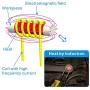 Solary Magnetic Induction Heater Kit 1000W 110V For Automotive Flameless Heat Induction Heat 1KW Hand Tool