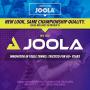 JOOLA NOVA - Outdoor Table Tennis Table with Waterproof Net Set - 10 Minute Easy Assembly - All Weather Aluminum Composite Outdoor Ping Pong Table - Tournament Quality - Indoor & Outdoor Compatible