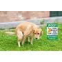 WaaHome Pack of 2 Double Sided Woof Please Clean Up After Your Pet Yard Signs with Metal Wire H-Stakes, 8''X12'' Funny No Poop Pee Dog Yard Sign Lawn Sign WaaHome Pack of 2 Double Sided Woof Please Clean Up After Your Pet Yard Signs with Metal Wire H-Stakes, 8''X12'' Funny No Poop Pee Dog Yard Sign Lawn Sign