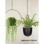 2 Pack Eco Joy Boho Metal Hanging Planters with 6'' Pot (Detachable) + Hook + Chain | Hanging Planters Indoor, Modern Wall & Ceiling Planters, Mid Century Planter for Indoor & Outdoor, NO Plant incld