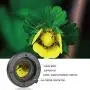 MEIKE MK-P-AF3B 10mm 16mm Auto Focus Extension Tube for Olympus Panasonic Micro Four Thirds System M4/3 Camera Lenses (All Plastic) MEIKE MK-P-AF3B 10mm 16mm Auto Focus Extension Tube for Olympus Panasonic Micro Four Thirds System M4/3 Camera Lenses (All Plastic)